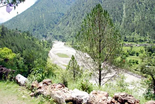 July 01 2008