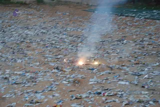 20081027 1363.jpg