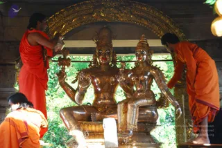 June 15 2009