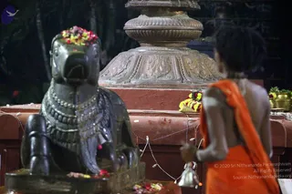 November 15 2017