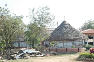February 19 2008