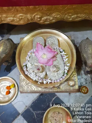 Photo 8287438