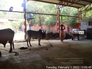 February 01 2022