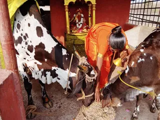 Feb 8 2022 sripuram