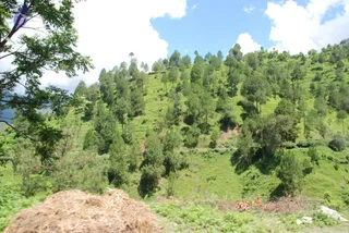 July 02 2008