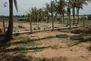 May 27 2007