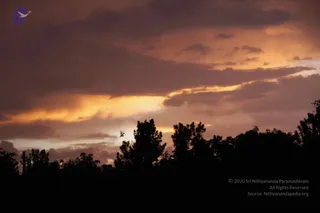 August 10 2011