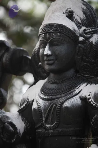 20111228 Photo 1546 1M5yxBiuw-6CQ3UxT5jhFNojXZVTRJWU-.JPG