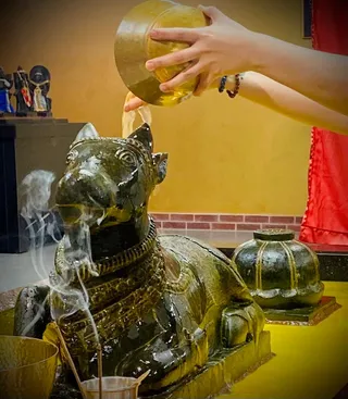 Photo 8287450