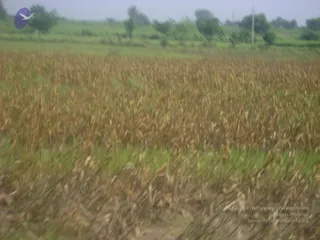 September 2006 - Sindhanur flood relief