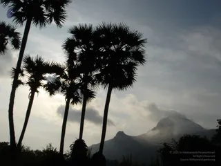 1978 - Tiruvannamalai