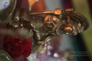 January 19 2013