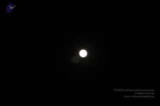 February 03 2015