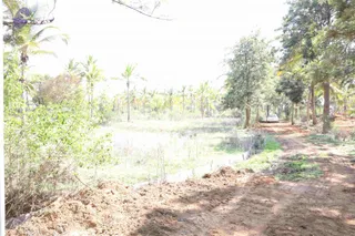 May 10 2018