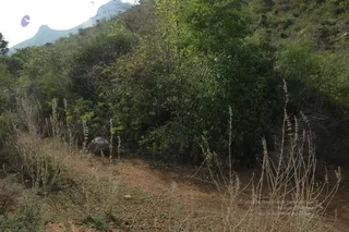 1978 - Tiruvannamalai - InnerGirivala