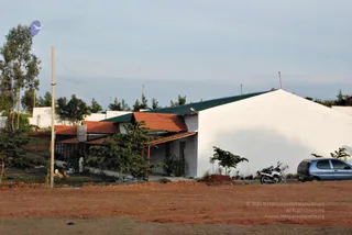 November 20 2008