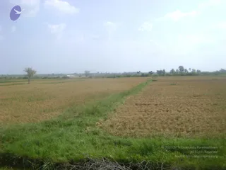 September 2006 - Sindhanur flood relief