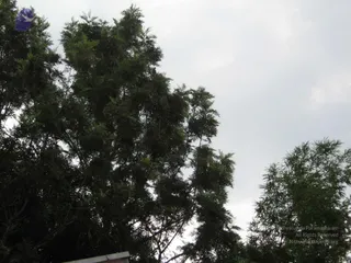 April 07 2008