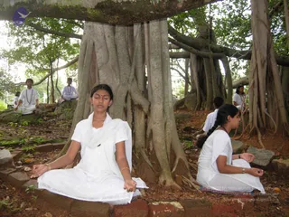 2008 - Glimpses Of Gurukul