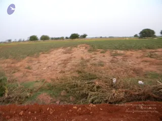 October 02 2009