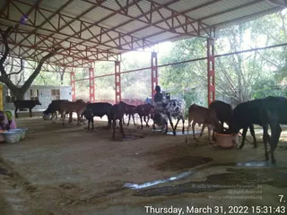 March 31 2022