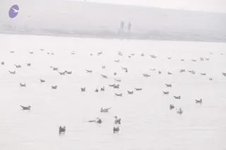 February 13 2013