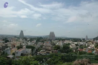 May 20 1989