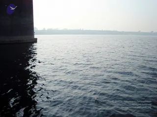 January 06 2006