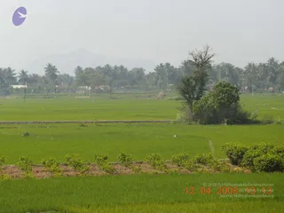 February 10 2009