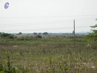 October 02 2009