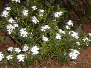 October 01 2010