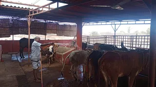 Jan 15 2022 sripuram