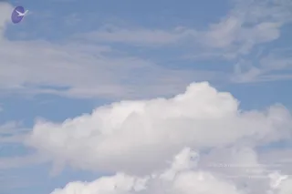 August 05 2011