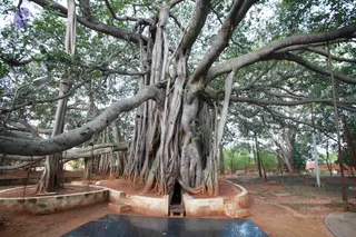 November 06 2012