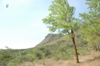 1978 - Tiruvannamalai - InnerGirivala