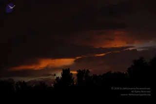 August 10 2011