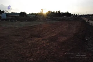 November 20 2008