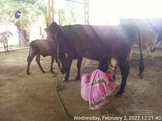 February 02 2022