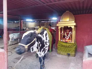 Jan 26 2022 sripuram