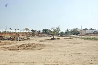 February 19 2008