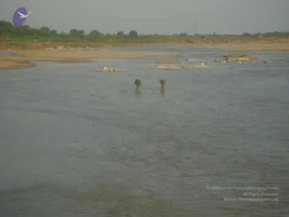 September 2006 - Sindhanur flood relief