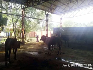 January 02 2022