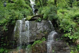 July 07 2008