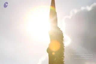 September 28 2014