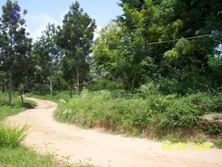 August 28 2004