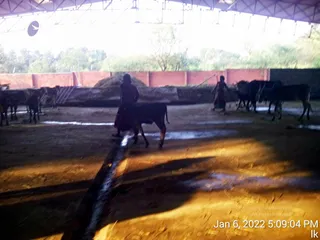 January 06 2022