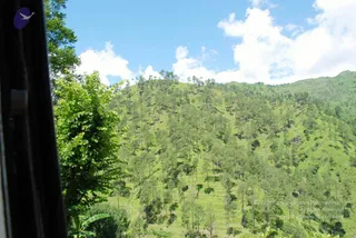 July 01 2008