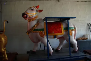 Making Of Sacred Arts University