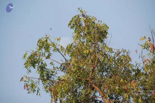 January 04 2010