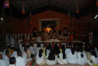 November 05 2010